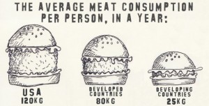 average meat consumption